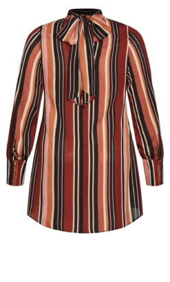 City Chic Brown Bold Stripe Tunic -Bold Fit Store 218608TANSTRIPE 21